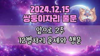 ⭐별자리운세⭐12/15 쌍둥이 풀문부터 2주 동안_소원 타이밍_소원 키워드