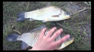 Рыбалка на карася  | Ловля карася  | Фидерная рыбалка  | Фидер |  Feeder Fishing
