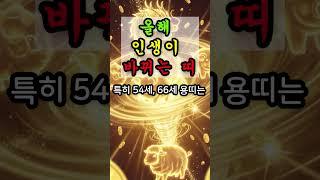 올해 안에 인생이 바뀌는 띠 #운명서재 #운명이야기 #운세