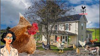 $214k Farmhouse Fantasy in Kentucky