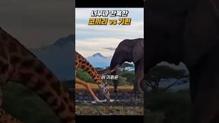 코끼리를 무시한 기린의 최후