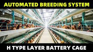 Revolutionizing Poultry Farming: Unveiling Advanced Automated Equipment - GREAT FARM