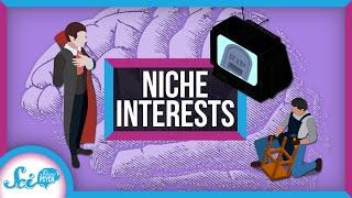 The Science Behind Our Niche Interests | Compilation