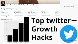 Top Twitter Growth Hacks 2023