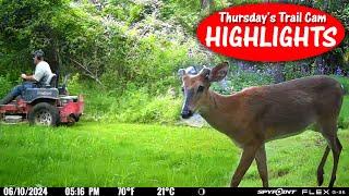 Saw a BIG (red) Dog, Cat Face to Face w/ Wild Animal: Thursday's Trail Cam Highlights 7.11.24