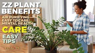 Benefits of ZZ Plants | ZZ Plant Care Tips & Guide | zamioculcas zamiifolia | Leaf Town