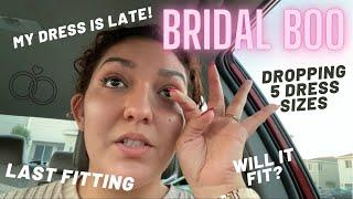 Wedding Dress Chronicles Part 1 - The Calm Before the Storm *emotional*