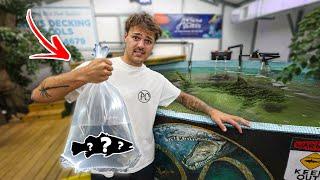 I Found THESE SPECIES for My POND!! (crazy)