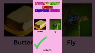 Literal vs Reality English Compound Words Part 1 #englishvocabulary #wishspeakenglish #dailyenglish
