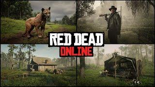 Лучшая РОЛЬ в Red Dead Online! Обзор ролей RDO - Коллекционер, Охотник за головами, Самогонщик и т.д