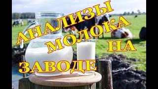 АНАЛИЗЫ МОЛОКА НА ЗАВОДЕ.