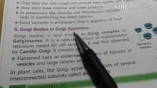 class 9th Bio ch -1 (10 April )