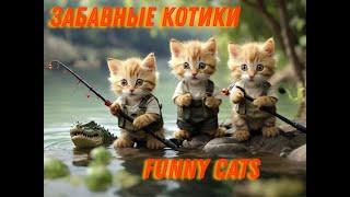Лучшие приколы с котиками/ Корпорация смеха #78
