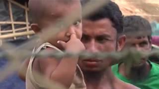 BBC News: special report from Rakhine State, Myanmar