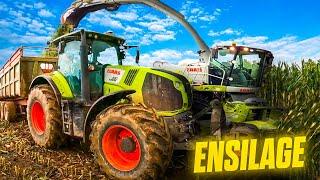 ENSILAGE DE MAÏS 2022 !