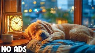 12 Hours Anti Anxiety Music For Dogs  Stress Relief Music For Dogs  Calming Music For Dogs