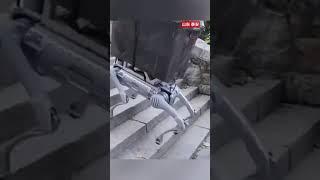 机器狗已经爬上泰山了~|  财经风云