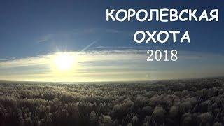 Королевская Охота 2018. Ночное ориентирование .