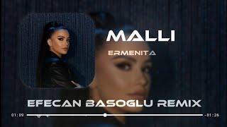 Ermenita - Malli ( Efecan Basoglu Remix )