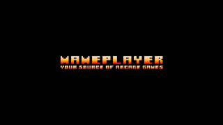 10TH Anniversary MamePlayer Mame Retro Arcade Games