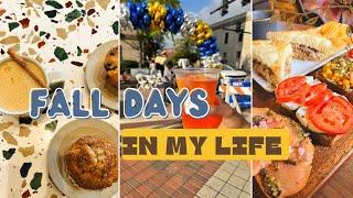 Fall Days In My Life/ Fall Vlog/ NC Vlog/ Fall Diaries/ What To Do For Fall/ Durham NC/Fall Festival