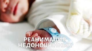 Как работает РЕАНИМАЦИЯ НЕДОНОШЕННЫХ?