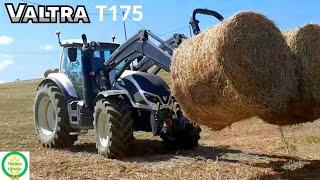 Valtra T175 | hay work