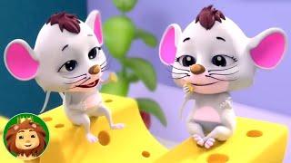 Do Chuhey They, शेर निराला + Best Hindi Rhymes and Kids Song