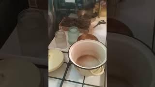 "Левзея сафролових"