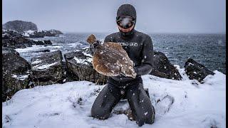 When is it too COLD? Spearfishing Remote Arctic Norway  in Winter.