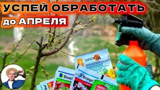 МОНИЛИОЗА НЕ БУДЕТ! Первая Комплексная Обработка Весной Для Всего Сада от Болезней и Вредителей