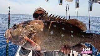 BIG FISH at Islamorada humps {fish head soup}