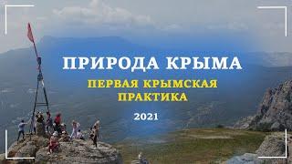 ПРИРОДА КРЫМА | МГУ | ГЕОЛОГИЧЕСКИЙ ФАКУЛЬТЕТ | ПЕРВАЯ КРЫМСКАЯ ПРАКТИКА