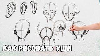 как рисовать уши