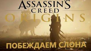 Assassin's Creed Истоки, как победить слона!