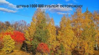 Можно ли копать с металлоискателем? Штраф 1 миллион!