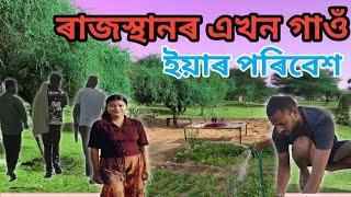 মৰুভূমিৰ এখন গাওঁৰ পৰিবেশ | পৰীহাৰাত স্থিত ডাঙৰ পেহীৰ ঘৰৰ  গাওঁৰ পৰিবেশ, খেতি পথাৰবোৰ সঁচাই মনোমোহা