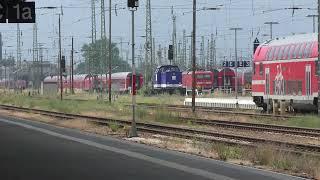 Züge in Cottbus Hbf