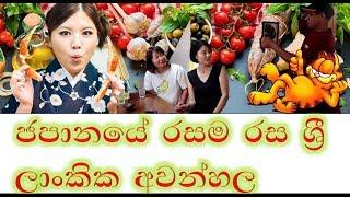 Best Sri Lankan Restaurant in Japan - ජපානයේ රසම රස ලංකාවේ අවන්හල