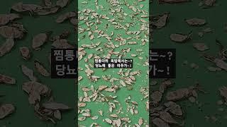 햇볕은쨍쨍,여주는바삭