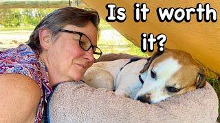 PROS AND CONS of VAN LIFE WITH a DOG |Solo Female Van Life