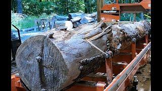 Can we sawmill some boards from this Hemlock?