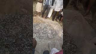 Jalua with machhali