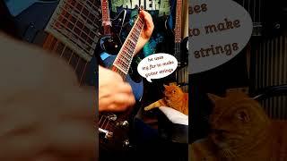 THRASH Metal Cat 10 Riff Mix - Old School Thrash Like Exodus Meets Metallica Megadeth Slayer Orange