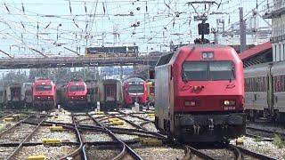 CP 2024 Part 4; Electric Class 5600 locos at Lisboa Santa Apolonia; 04/01/2024