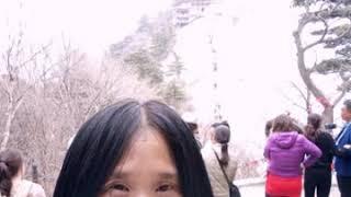 中国华山西峰