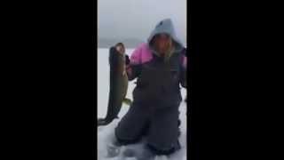 Выудила щуку на зимней рыбалке Catch on the winter fishing ...