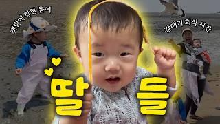 누가 딸들이 좋다그랬어..⁉️ 아기 넷 국내여행ㅣ강화도 갯벌체험ㅣ육아 브이로그