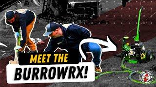 The Secret to Eliminating Voles: The BurrowRX Revealed | Around Town