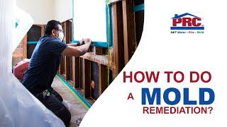 MOLD REMEDIATION